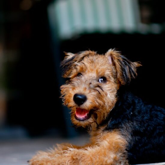 edoardo-cuoghi-QZf_Oaj-3yY-unsplash